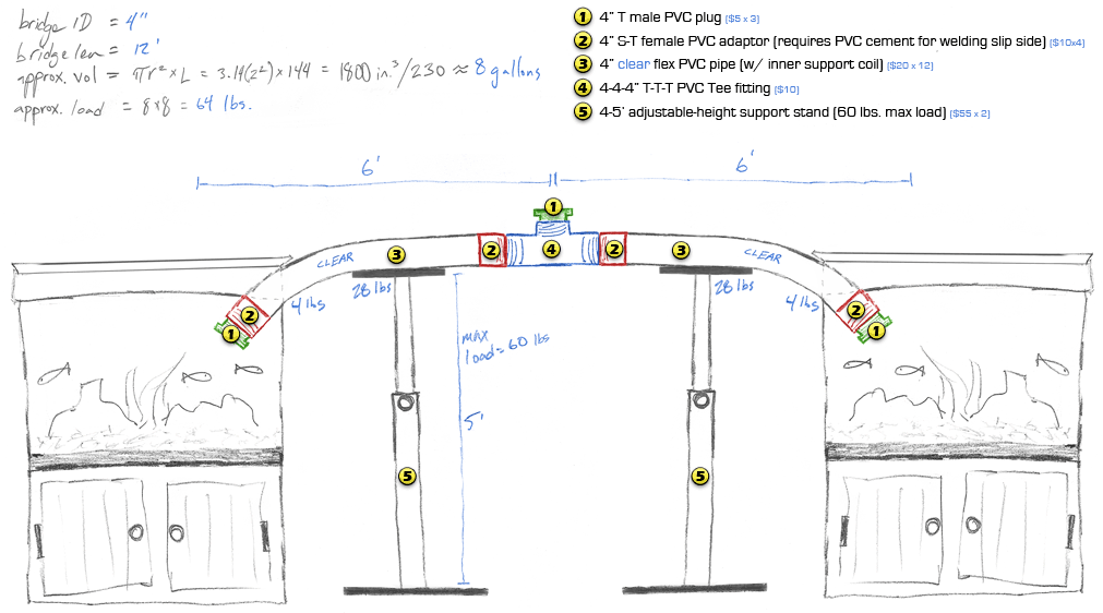Water Bridge Design
